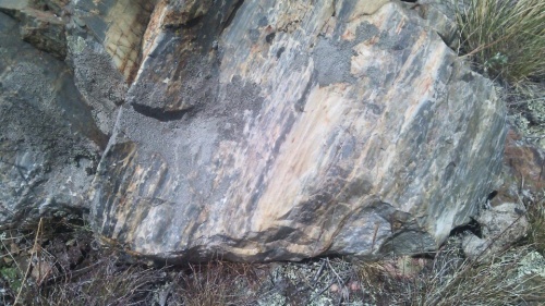 Гигантские зелёные валуны для ландшафтного дизайна весом более 5 тонн купить в Республике Северная Осетия